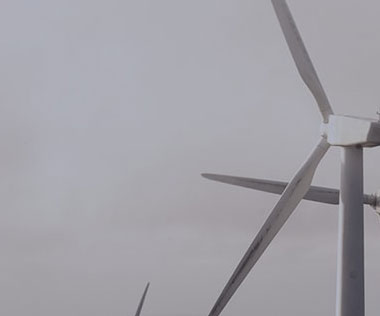 热烈庆祝本网站改版成功